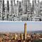 Bologna towers. Then (mini-Manhattan) and now.