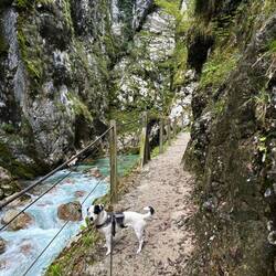 Tolmin-Klamm