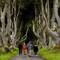 The Dark Hedges