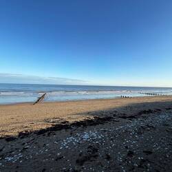 Bridlington Bempton Cliffs