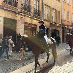 Mounted police. Nice to hear horses on the old cobblestone streets