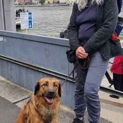 Fähre nach Goarshausen