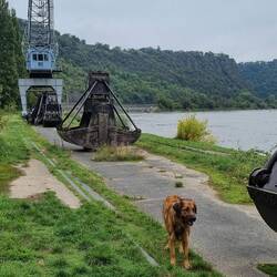 Bissl Kultur auf dem Weg zur Lorelei