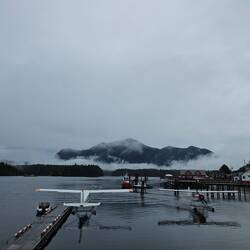 Tofino