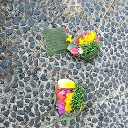 OPFERGABEN VOR JEDEM HAUS