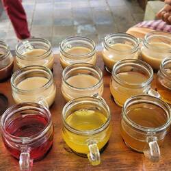 KAFFEE UND TEEDEGUSTATION