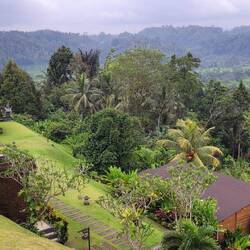 AUSSICHT VON DER Terrasse des Zimmers