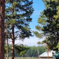 Seeley Lake