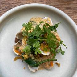Cockles with bouillabaisse sauce and saffron aioli