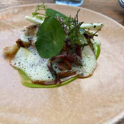 Celeriac root smoked with tarragon puree and duck jus and pears and chanterelles