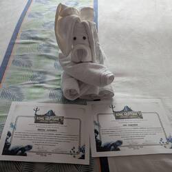 Fun certificates and towel animal
