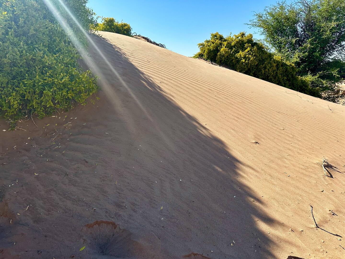 Impressionen, Formen und Farben der Wüste