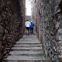 With us walking you see the size