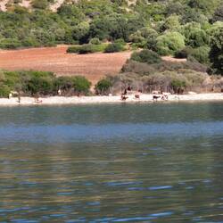 Am morgen ist schon Hochbetrieb am Strand