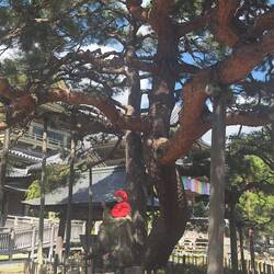 Trees supported...