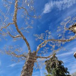 Hier ein Baum aus Stahl - ich nenne ihn Stefano
