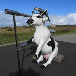 Pirate cow at the lighthouse - pretty funny