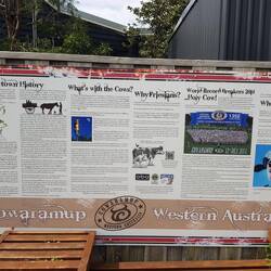 Info about the cows including the world record