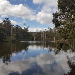Pleasant riverside trail