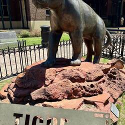 Tigre heisst so wegen der vielen Tiger (in Argentinien? Nein, das waren Jaguare)