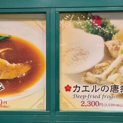 Links gekochte Haifischflosse oder rechts frittierte Frösche - was sollen wir nehmen ?