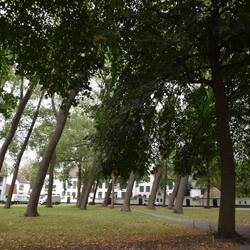 Ein Beginenhof von 1245