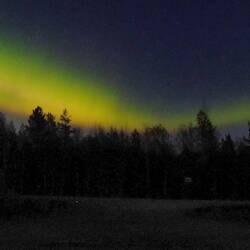 Das war' auch schon an Farbenvielfalt...