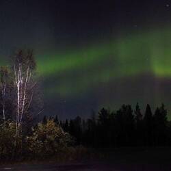 ...und zusätzlich mit künstlichen Licht gearbeitet. ( Die Birke mit einer Taschenlampe angeleuchtet)