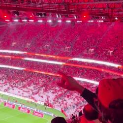 Der Adler 🦅 fliegt...