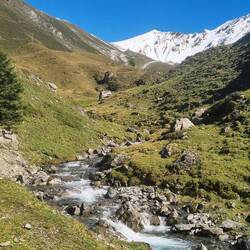 Stierenbach und Surenenpass