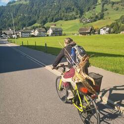 "Schwertransport" Wurzelstock!🤣