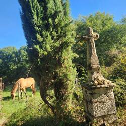 Jane getting her horse and donkey fix