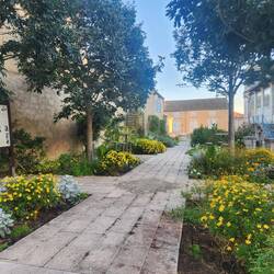 Pretty garden by the grain market