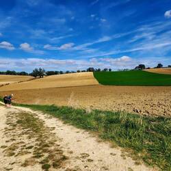Fields fields and more fields