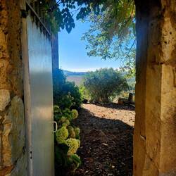 Looking through the gate