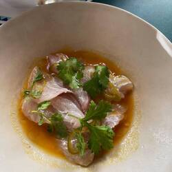 Stone bass with satsumas, lime juice, cilantro