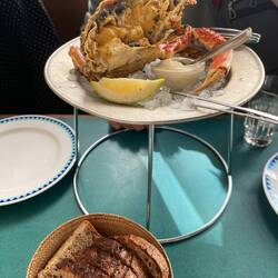 Spider crab with aioli