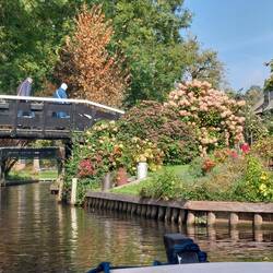 Alle haben schöne Gärten