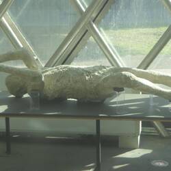 Plaster cast of one who didn't escape