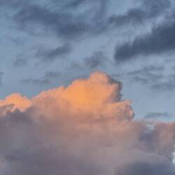 Das Wetter von morgen kündigt sich an! 😎☀️😎