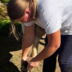 Journée, cheval pour les filles, je les emmène et leur tiens compagnie
