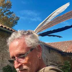 ... je me fais ma nouvelle coiffure avec leurs plumes 🤪