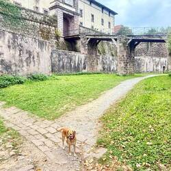 Balade autour des remparts , vue d'une entrée ...