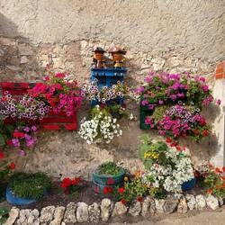 A cute village house