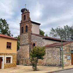Zoom in to the top of the steeple. That's a crazy huge nest!