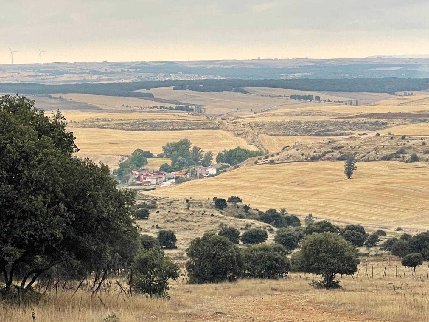 Started the day with a big climb out of Atapuerca, with beautiful views of surrounding countryside.