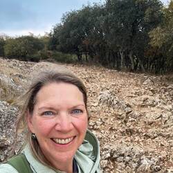 The rocky, craggy landscape on the climb up from Atapuerca. It even looks like cave men lived here.