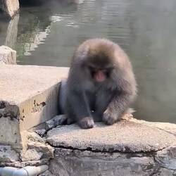 Man beachte das rechte Hinterbein 😂