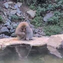 Keiner kriegt was ab 😁