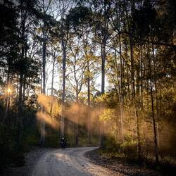 Evening caught up on us. We had to stop short at Wallaga Lake campground
